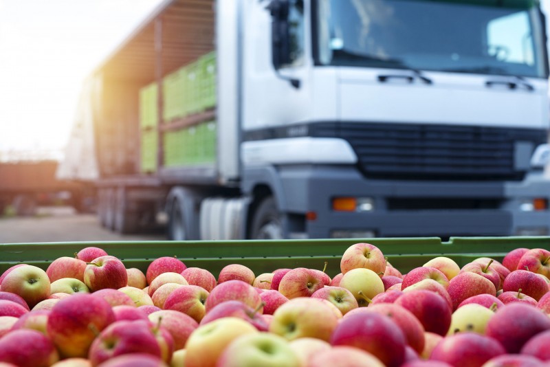 Trade, Storage & Distribution of Foods